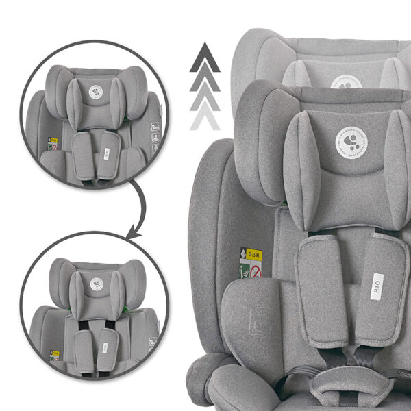 Lorelli Κάθισμα Αυτοκινήτου RIO i-Size 76-150cm Isofix Black