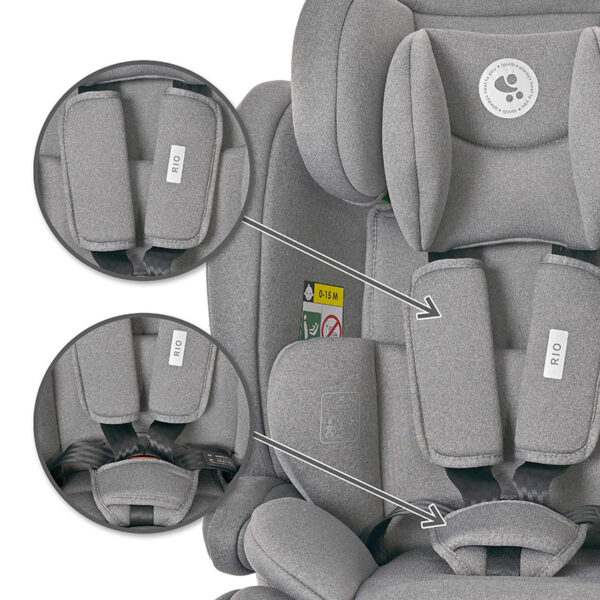 Lorelli Κάθισμα Αυτοκινήτου RIO i-Size 76-150cm Isofix Black