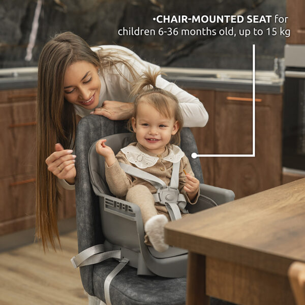 Vanilla-Function 2 chair mounted seat suitable for children from 6 up to 36 months of age, 15 kg max Lorelli Καρεκλάκι φαγητού VANILLA 3in1 Grey